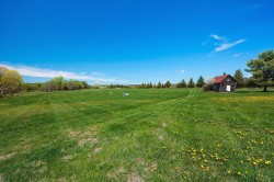 Lot - 