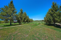 Lot - 