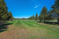 Lot - 