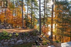 Gorgeous stone walls - 
