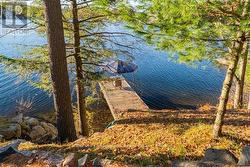 Multiple docks - 