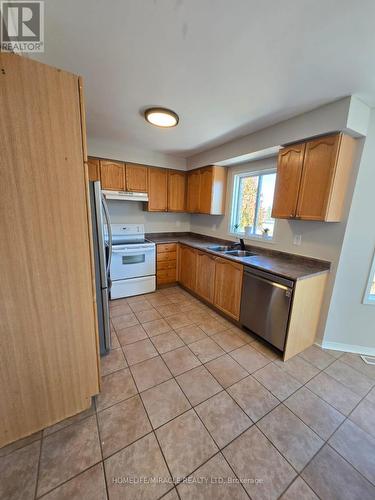 29 Nicholson Drive, Barrie, ON - Indoor Photo Showing Kitchen With Double Sink