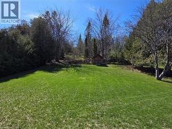 Private Backyard - 