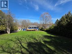 Back yard - 