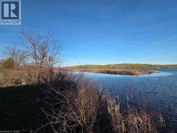 15' on Trent River - 