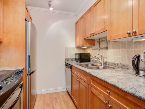 #501-327 Maitland St, Victoria, BC - Indoor Photo Showing Kitchen With Double Sink