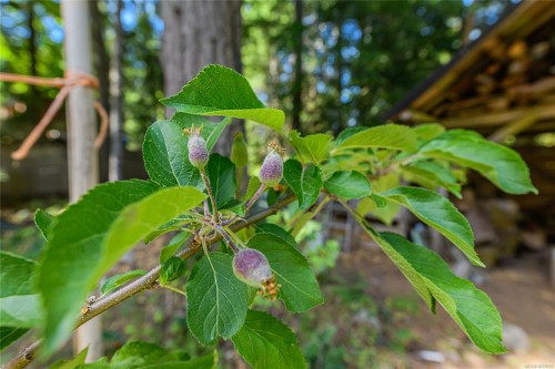 421 Mt. Belcher Hts, Salt Spring, BC 