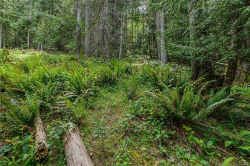 421 Mt. Belcher Hts, Salt Spring, BC 