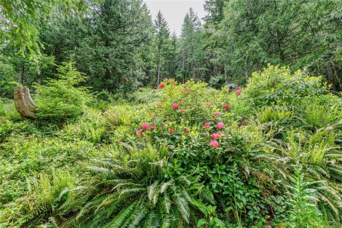 421 Mt. Belcher Hts, Salt Spring, BC 