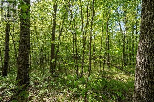 1633 Brewer Road, Frontenac (Frontenac Centre), ON 