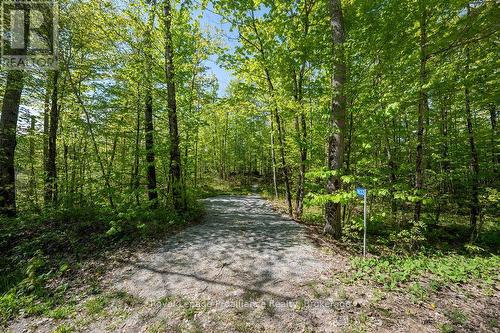Driveway entrance - 1633 Brewer Road, Frontenac (Frontenac Centre), ON 
