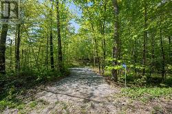 Driveway entrance - 