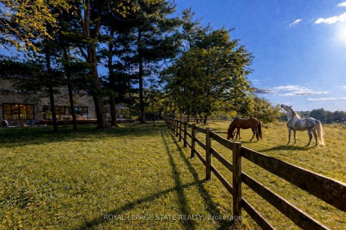 1067 Jerseyville Road W, Hamilton, ON - Outdoor With View