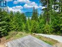 North facing lake and mountain view, view would increase if there was a 2 story home built here. - 3950 Short Road, Eagle Bay, BC 