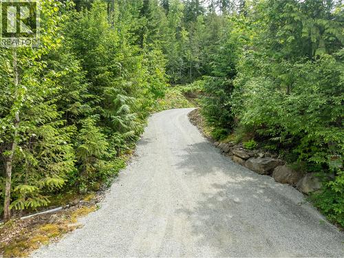 driveway - 3950 Short Road, Eagle Bay, BC 