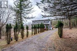 521 CONCESSION RD 8 W Trent Hills, ON K0L 1Y0
