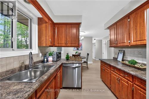 217 Pinegrove Crescent, Waterloo, ON - Indoor Photo Showing Kitchen With Double Sink