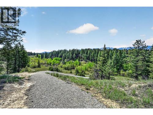 1067 Timberhill Place, Windermere, BC - Outdoor With View