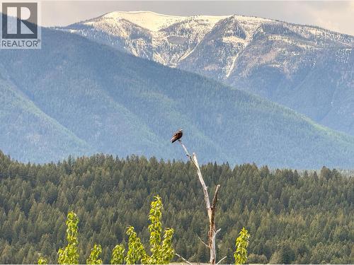 4615 Rowan Street, Windermere, BC - Outdoor With View
