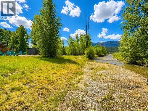 4615 Rowan Street, Windermere, BC - Outdoor With View