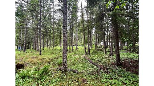 5619 6 Highway, Burton, BC - Outdoor