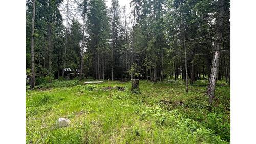 5619 6 Highway, Burton, BC - Outdoor With View