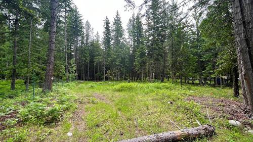 5619 6 Highway, Burton, BC - Outdoor