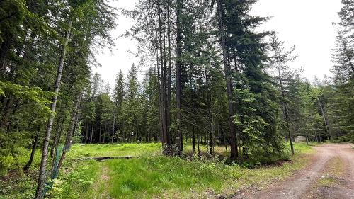 5619 6 Highway, Burton, BC - Outdoor With View