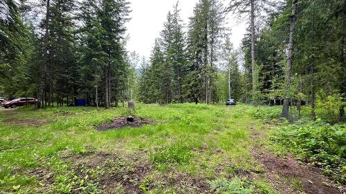 5619 6 Highway, Burton, BC - Outdoor