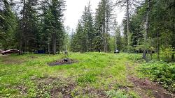 5619 6 Highway  Burton, BC V0G 1R0
