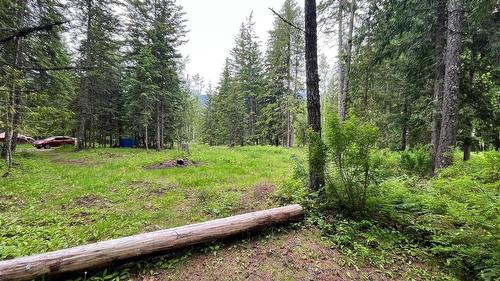 5619 6 Highway, Burton, BC - Outdoor
