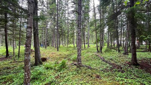 5619 6 Highway, Burton, BC - Outdoor