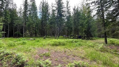 5619 6 Highway, Burton, BC - Outdoor