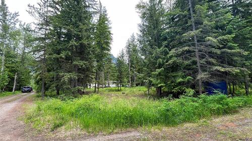 5619 6 Highway, Burton, BC - Outdoor