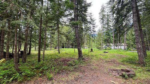 5619 6 Highway, Burton, BC - Outdoor