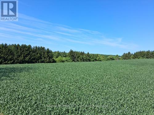 39529 Belgrave Road, North Huron (East Wawanosh), ON 
