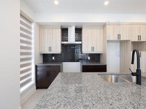 Cuisine - 302-540 Rue Boileau, Vaudreuil-Dorion, QC - Indoor Photo Showing Kitchen With Double Sink