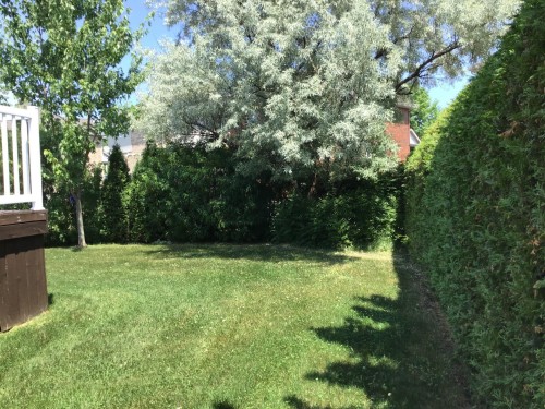 Cour - 23 Rue Des Vieux-Moulins, Gatineau (Aylmer), QC - Outdoor