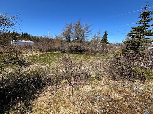 19-21 Lawrence Lane, Pouch Cove, NL 