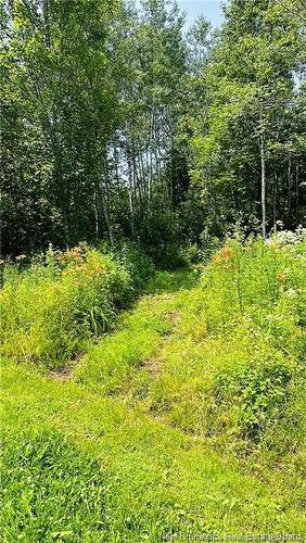 337 Foster Rd, Mainstream, NB 