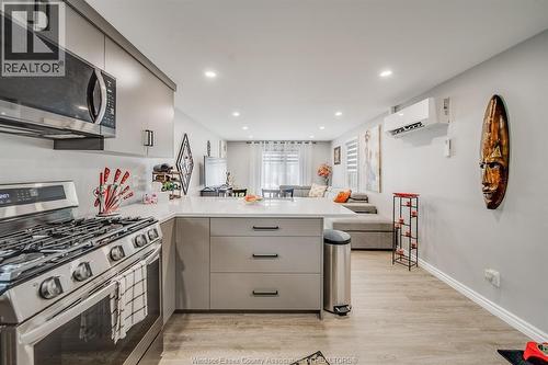 20 Bonita Avenue, Windsor, ON - Indoor Photo Showing Kitchen With Upgraded Kitchen