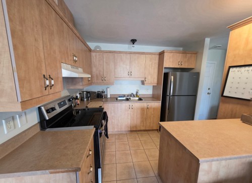 Kitchen - 303-9500 Boul. Rivard, Brossard, QC - Indoor Photo Showing Kitchen With Double Sink
