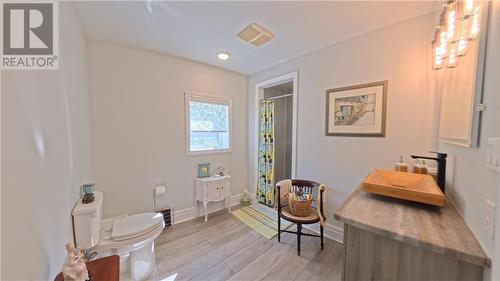 14 Maplewood Trail, Kagawong, ON - Indoor Photo Showing Bathroom