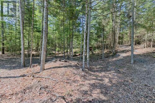593 Inglis Road, Greater Madawaska, ON - Outdoor With View