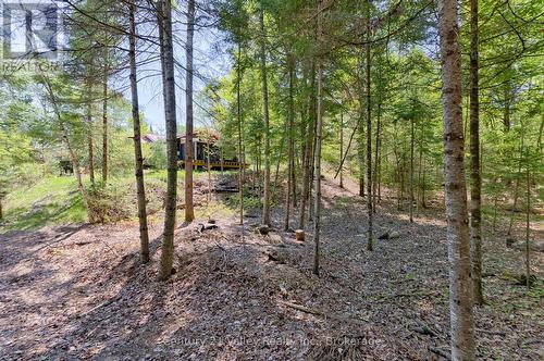 593 Inglis Road, Greater Madawaska, ON - Outdoor With View
