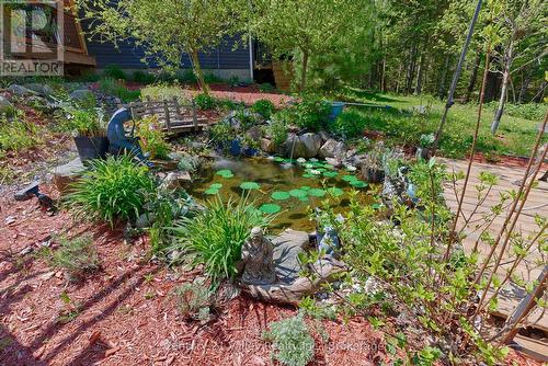 593 Inglis Road, Greater Madawaska, ON - Outdoor