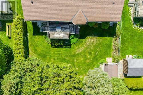 backyard - 71 Grayview Drive, Grey Highlands, ON - Outdoor