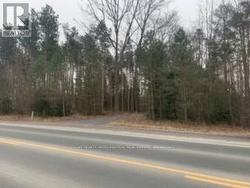 0 COUNTY RD 42 Trent Hills, ON K0L 1Z0