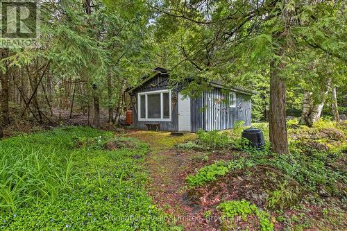 3786 Hwy 28 Highway, Douro-Dummer, ON - Outdoor