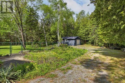 3786 Hwy 28 Highway, Douro-Dummer, ON - Outdoor